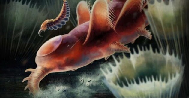 Вчені до кінця не знають, до якої групи належить дивна істота