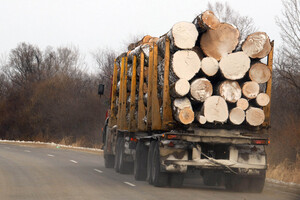 Жителям ряда регионов доставляют бесплатные дрова: как подать заявку