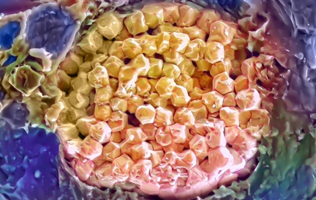 Вченим вдалося знайти давні бульбашки морської води