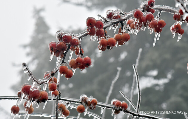 Зимові морози: синоптик розповів, якими будуть перші дні грудня