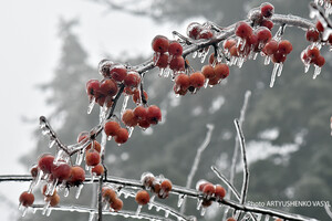Зимові морози: синоптик розповів, якими будуть перші дні грудня