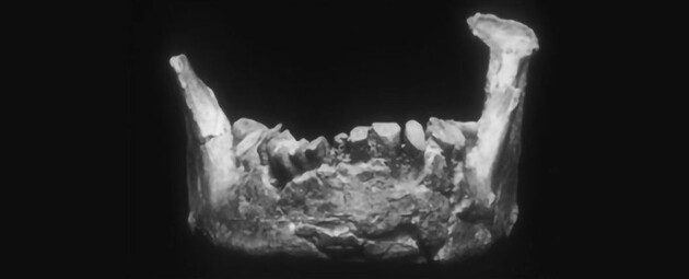Вчені виявили найдавніші останки людини в Європі