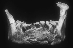 Ученые обнаружили древнейшие останки человека в Европе