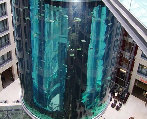 AquaDom — крупнейший цилиндрический аквариум в мире.