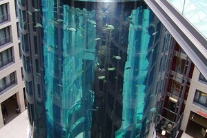 У Берліні лопнув найбільший циліндричний акваріум у світі: дві людини отримали поранення