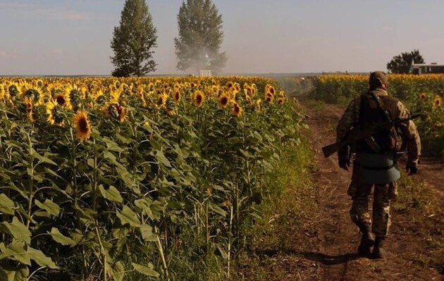 Українські аграрії більше не хочуть ставити рекорди з вирощування зерна