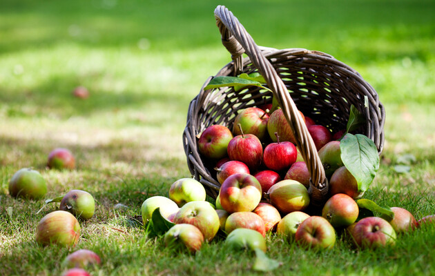В Украине цены на яблоки пошли вверх