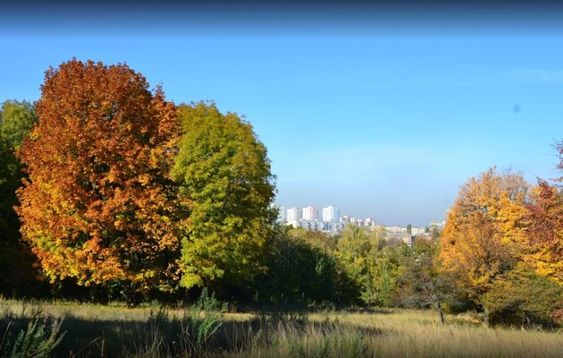 Урочище Лысая Гора