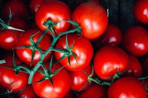В Украине выросли цены на импортные помидоры