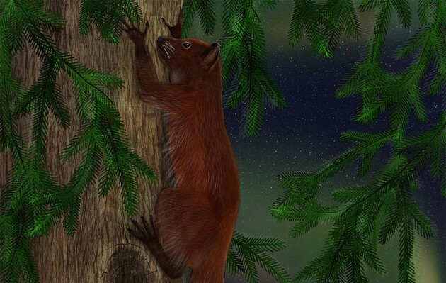 Примат жив в Арктиці 52 мільйони років тому