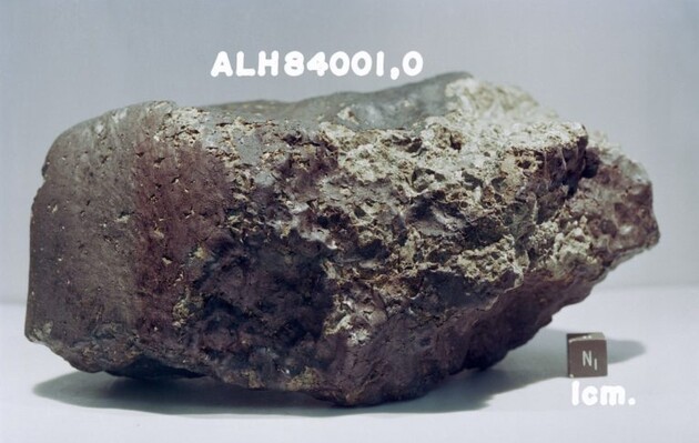 Вчені розповіли про «величезну органічну різноманітність» метеорита з Марса