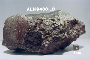 Вчені розповіли про «величезну органічну різноманітність» метеорита з Марса