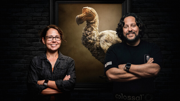 Американский стартап планирует «воскресить» птицу додо