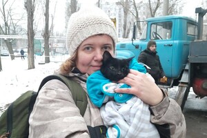 Бася ждала более двух недель: из разрушенного российской ракетой дома в Днепре спасли кошку
