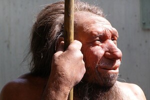 Находка из Германии рассказала, как неандертальцы охотились на гигантских слонов