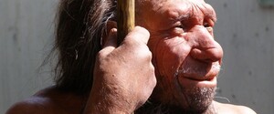 Находка из Германии рассказала, как неандертальцы охотились на гигантских слонов