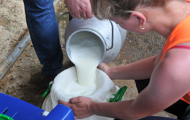 Последствия войны: в Украине сокращают производство молока