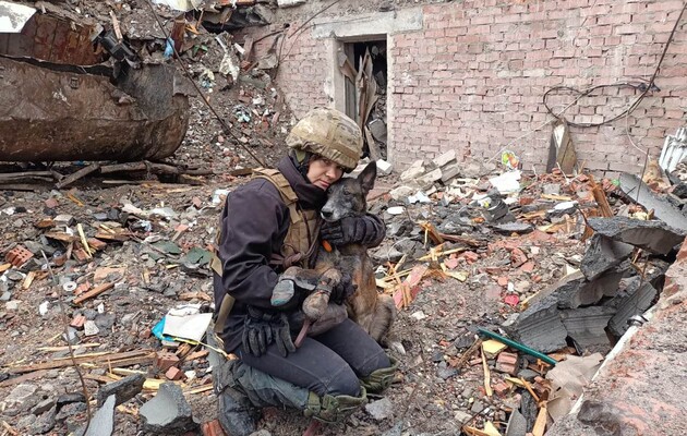 Собаки війни: рятують живих, знаходять мертвих