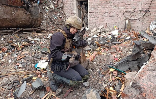 Dogs of war: rescue the living, find the dead