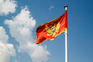 Чорногорія розсекретила дані про військову допомогу, надану Україні