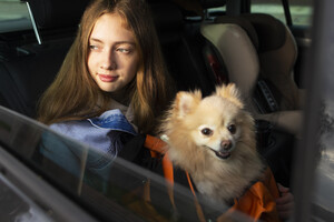В Украине могут ввести новые правила перевозки животных в авто