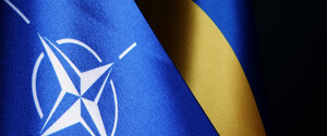 Страны НАТО в годовщину вторжения РФ пообещали усиливать поддержку Украины — заявление