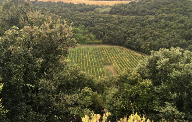 Вчені знайшли древній ударний кратер у Франції