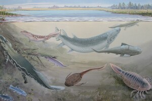 Вчені знайшли останки гігантської риби, яка полювала на предків людей