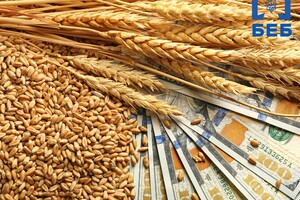 ЄК готує рішення щодо українського зерна