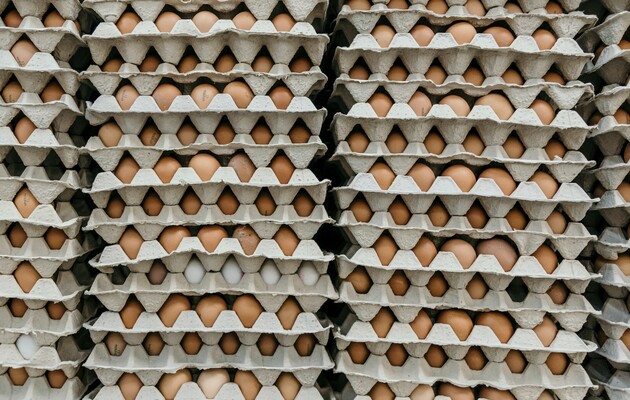 Держаудитслужба визнала, що ціни на яйця в МО дійсно були завищені без жодних підстав