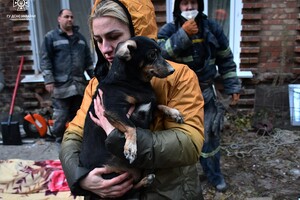 Люди отказываются эвакуироваться из особо опасных районов Николаевской области – глава ОВА