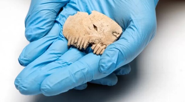 Археологи нашли в Великобритании гребень, сделанный из человеческого черепа