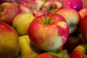 Яблука нового врожаю почнуть з'являтися в Україні майже на місяць раніше