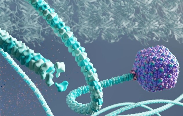 Вчені виявили «еволюційне диво»: вірус Рапунцель