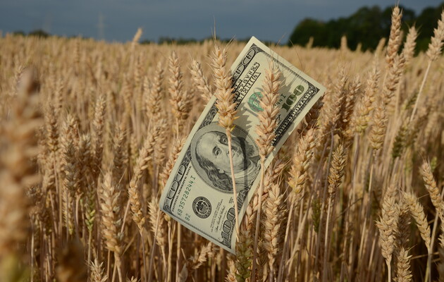 Обкрадывают дважды: экспортеры продают зерно за бесценок, да еще не возвращают деньги в страну