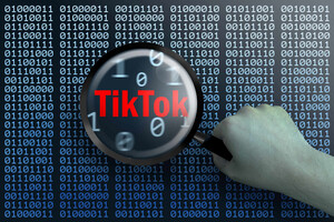 TikTok стал мишенью для западных спецслужб: детали сетевого противостояния Китая и Европы 