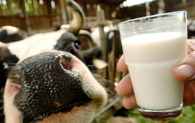 В Україні псується стільки молока, що його вже почали переробляти на біопаливо