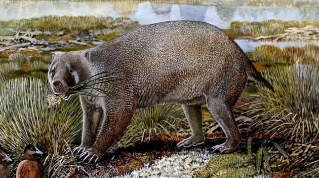 Животное жило на Земле 25 миллионов лет назад