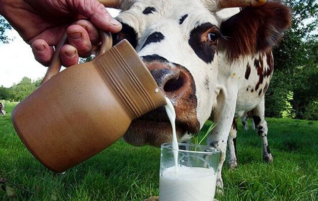 Цены на молоко могут снизиться: зарегистрированы новые законопроекты