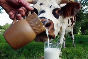 Ціни на молоко можуть знизитись: зареєстровані нові законопроєкти