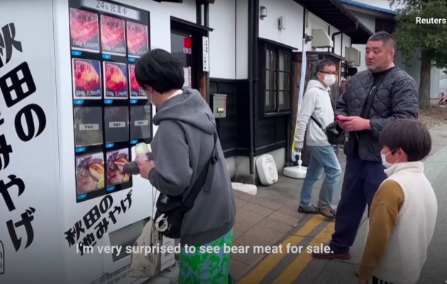 У Японії з'явився торговий автомат із м'ясом ведмедів, які приходять до міста через брак їжі в лісі