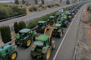 Фермеры в Румынии протестуют против импорта украинского зерна: блокируют границы