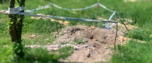 В Киевской области найдено 15 массовых захоронений