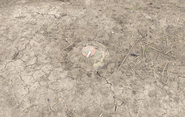 Фото иллюстративное