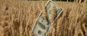 Reuters: Евросоюз обсудит запрет импорта украинского зерна со стороны Польши и Венгрии на этой неделе