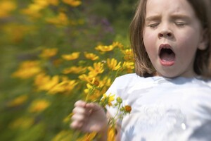 Сезонна алергія: в МОЗ нагадали, як себе захистити