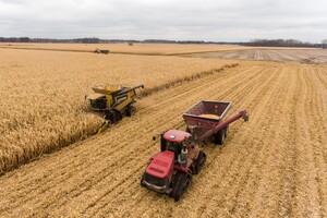 Румыния ужесточит контроль транзита агропродукции из Украины, но пока не запретит импорт