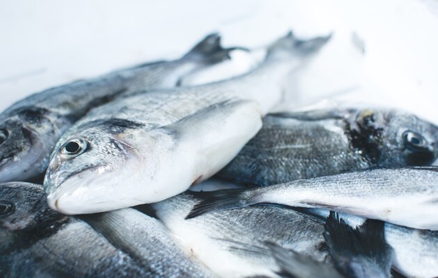 В Украине началась самая масштабная реорганизация рыбной отрасли за всю историю страны
