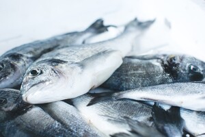 В Украине началась самая масштабная реорганизация рыбной отрасли за всю историю страны