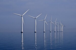 Bloomberg порушив питання ціни вітряної енергетики для фауни: не така вже й екологічна